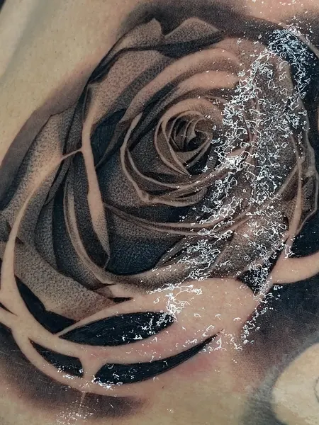 Flower, Rose