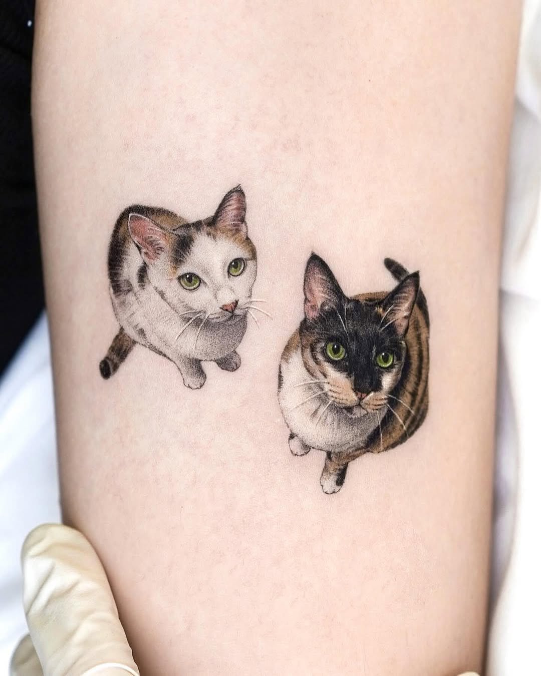 tatti_seoul