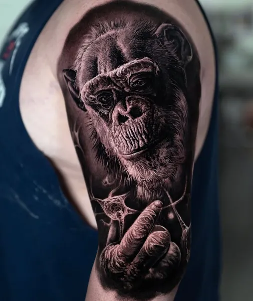 Tiger, Animal