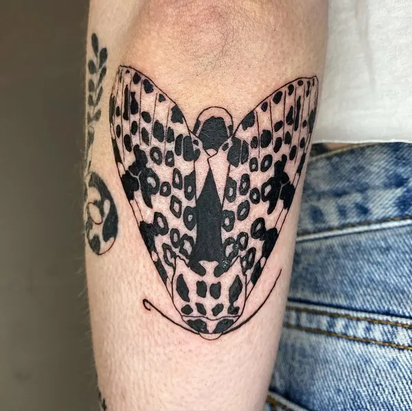 Animal, Nature