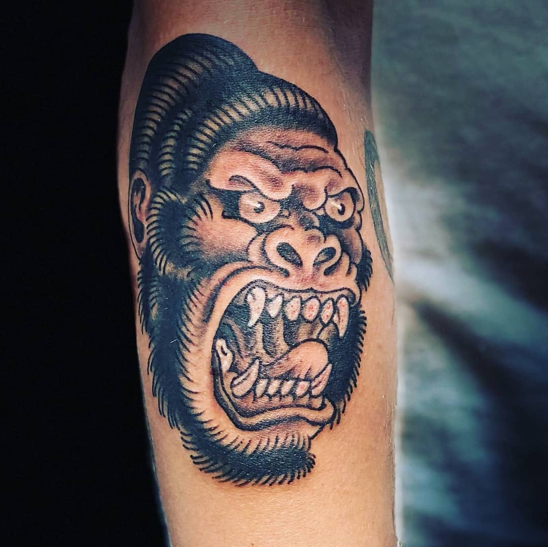 Tiger, Animal