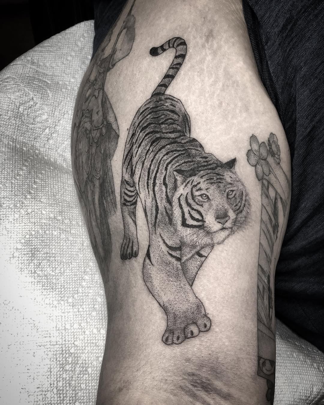 Tiger