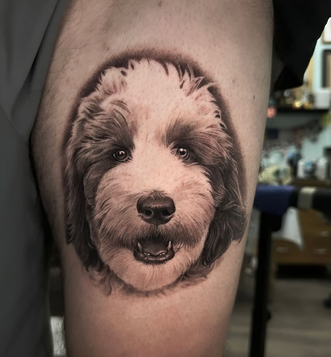 Animal