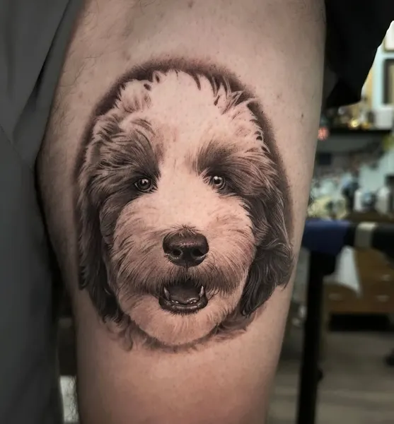 Animal