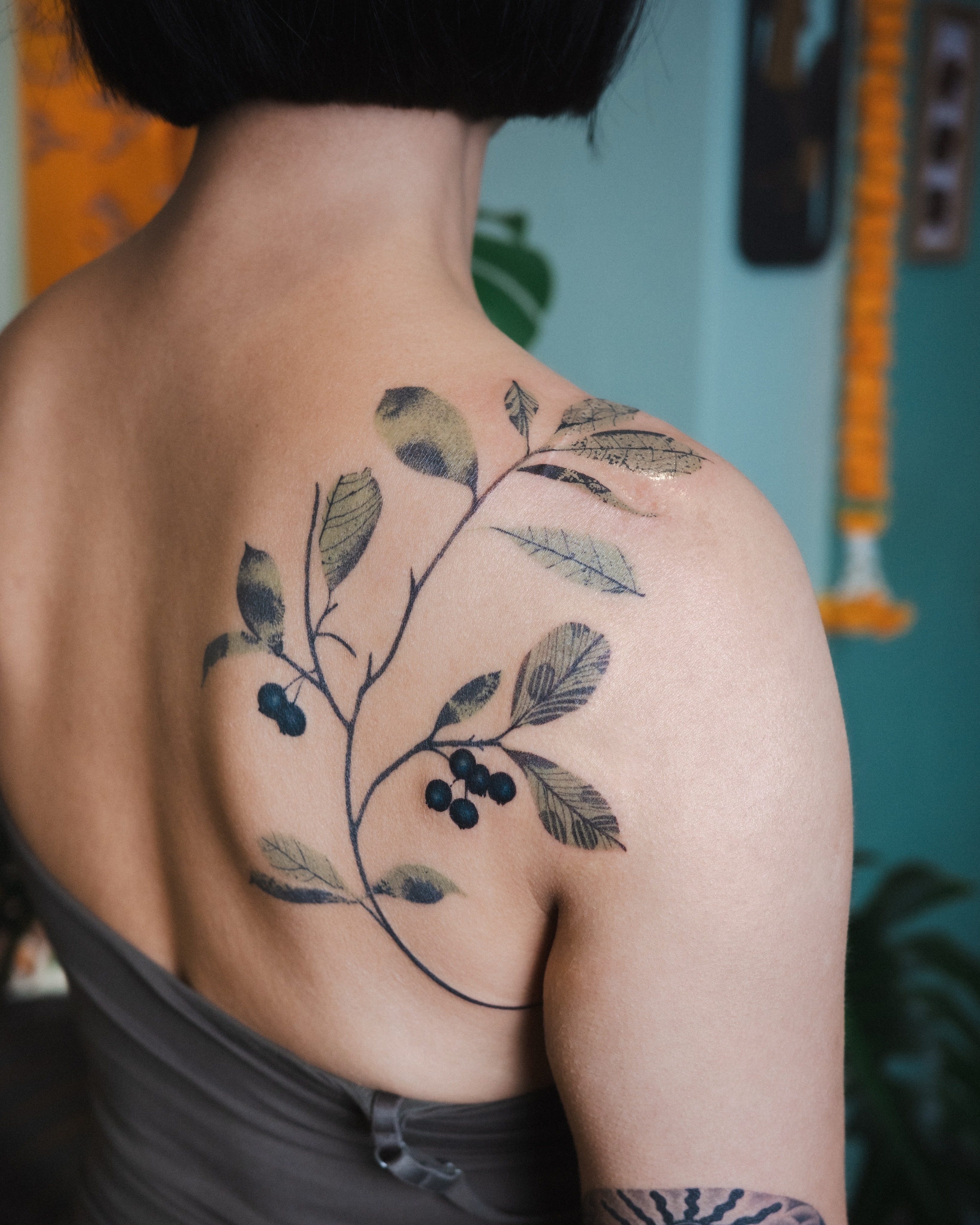 Flower, Nature, Rose