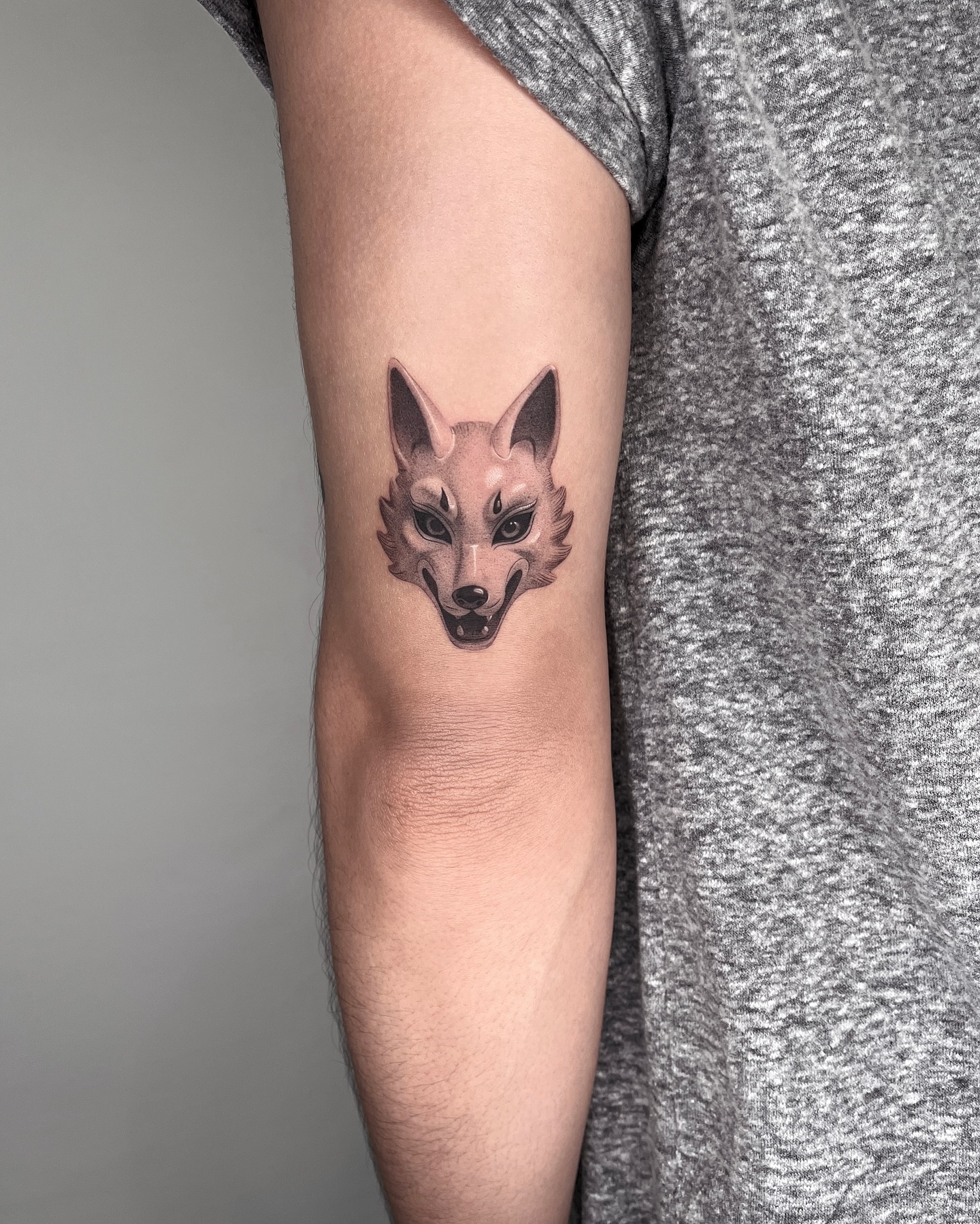 Animal, 여우