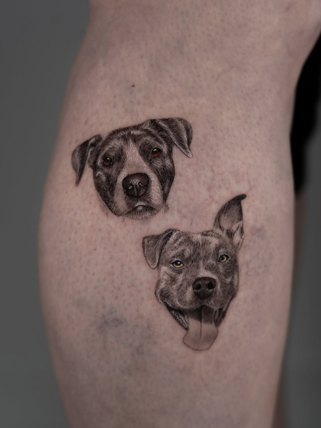 lewis.tattoo