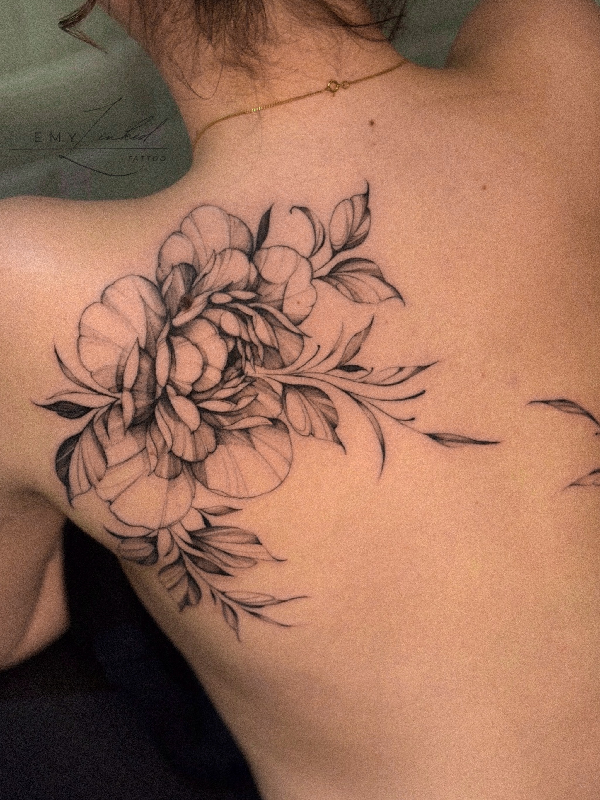 Flower, Rose, Nature