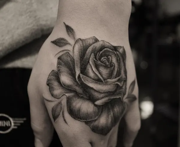 Flower, Rose