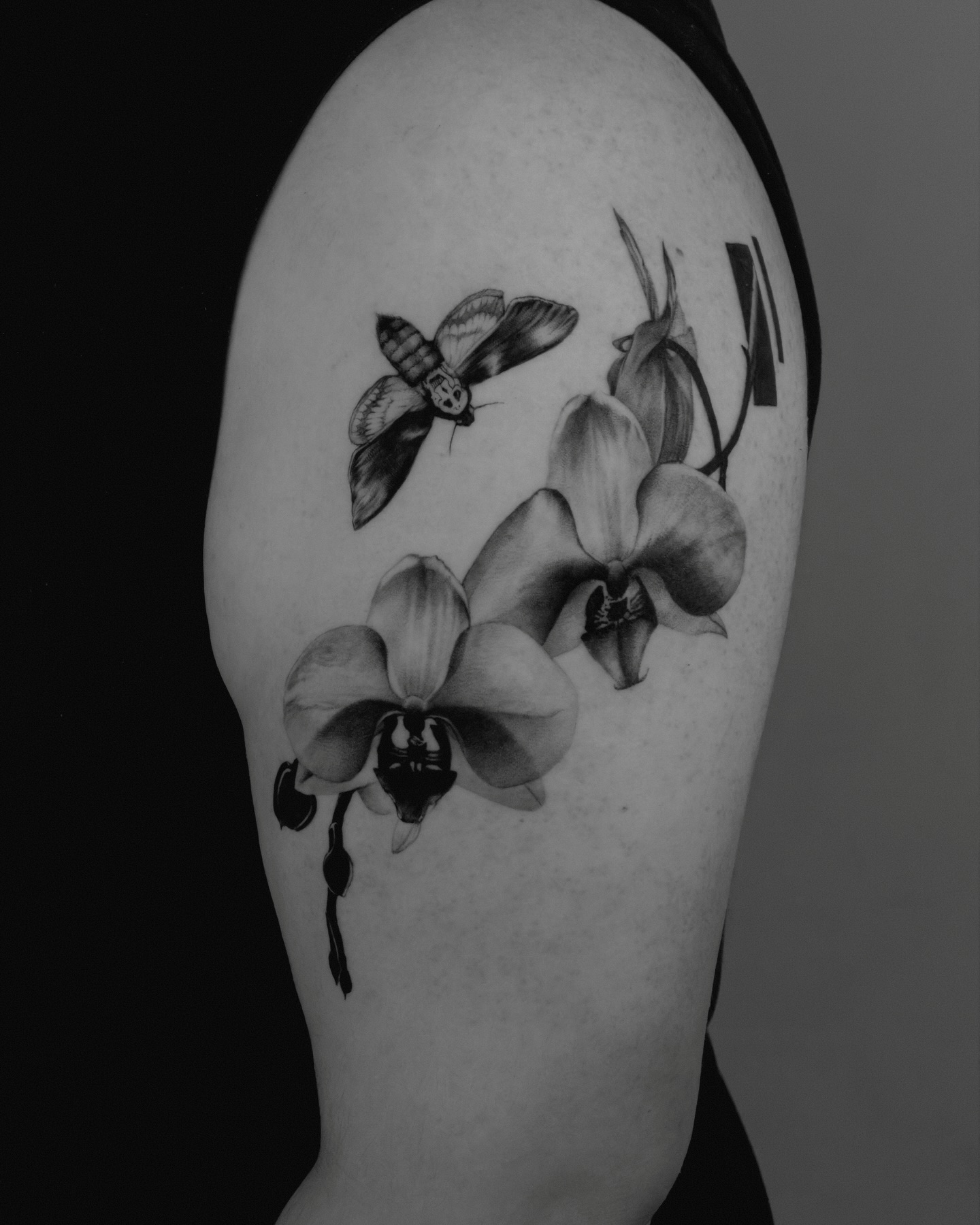 Flower, 난초