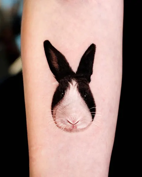 토끼, Animal