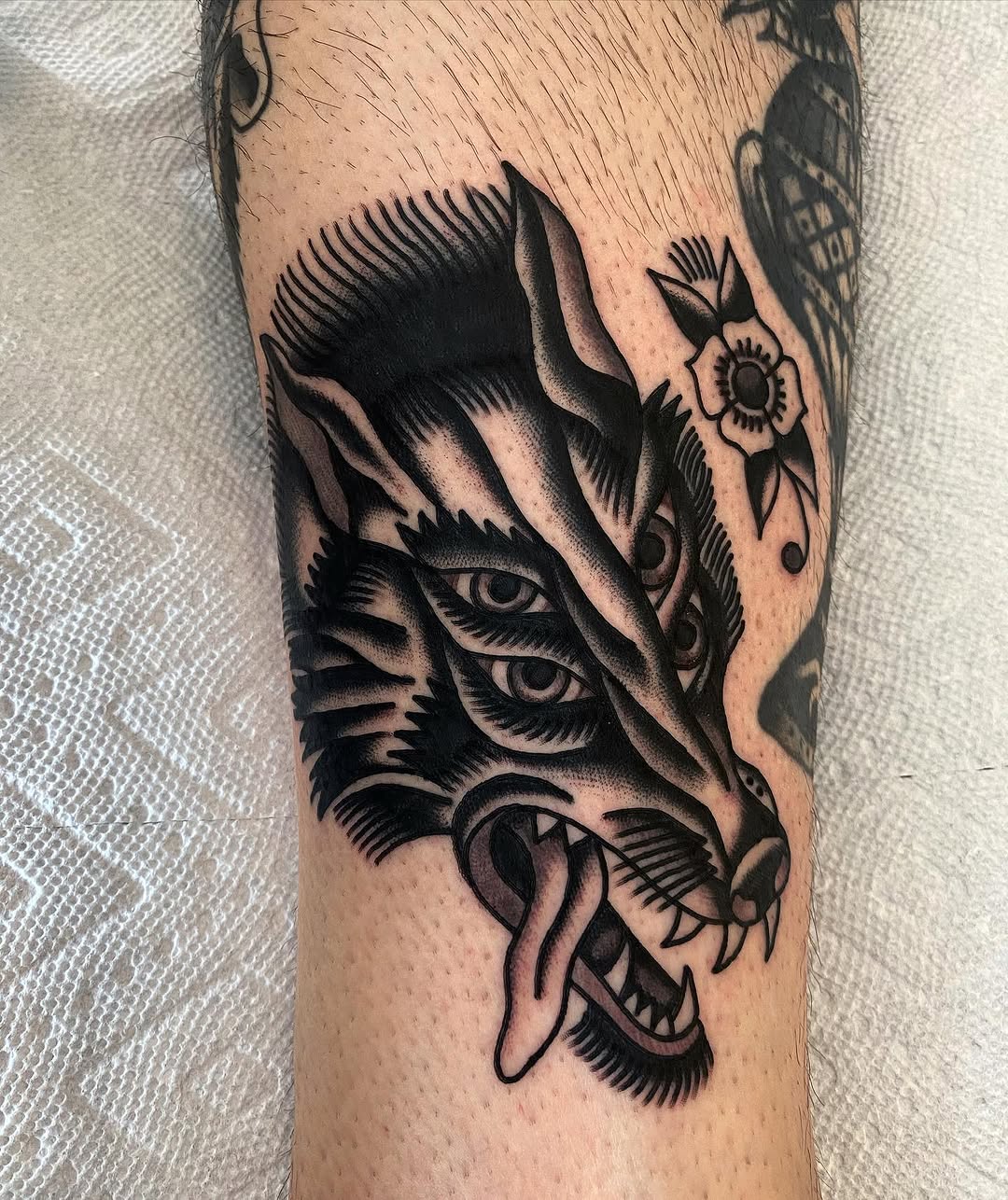 Animal, Tiger
