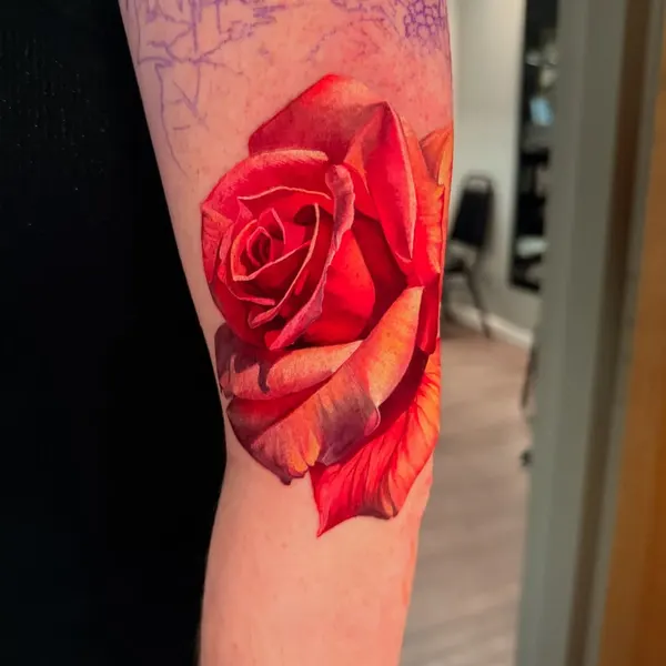 Flower, Rose