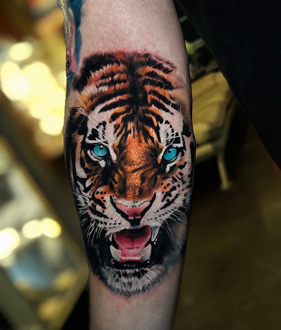 Tiger, 중국 호랑이, 한국 호랑이