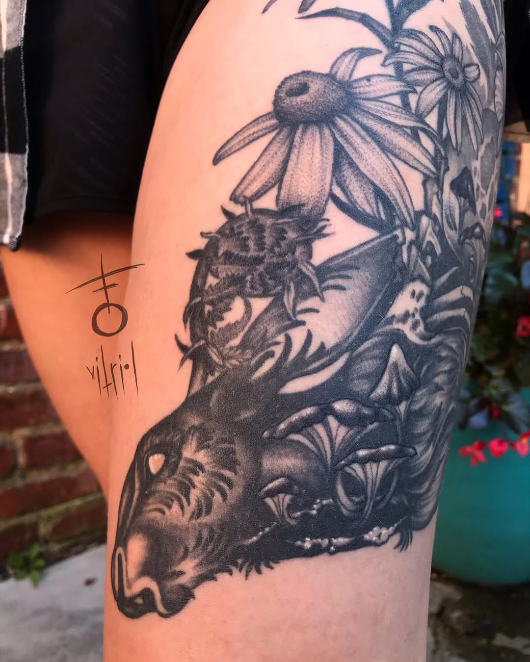 Flower, Rose