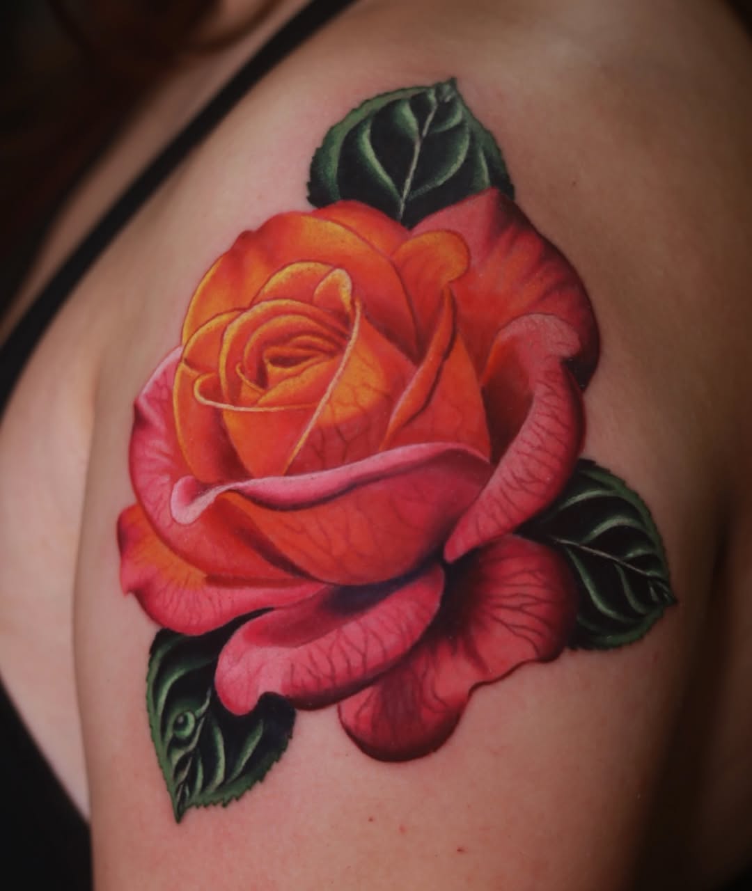 Flower, Nature, Rose