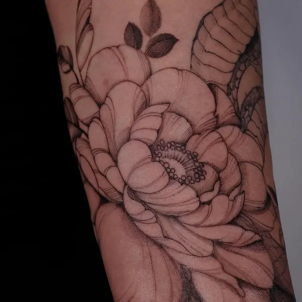 Flower, Rose