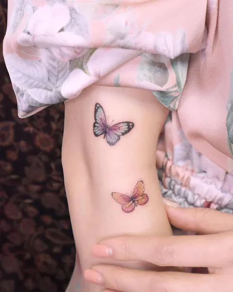 Animal, Nature, 나비