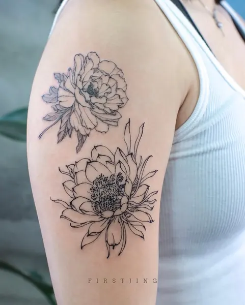 Flower, Rose