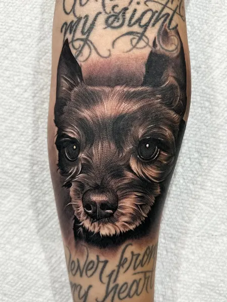 Animal