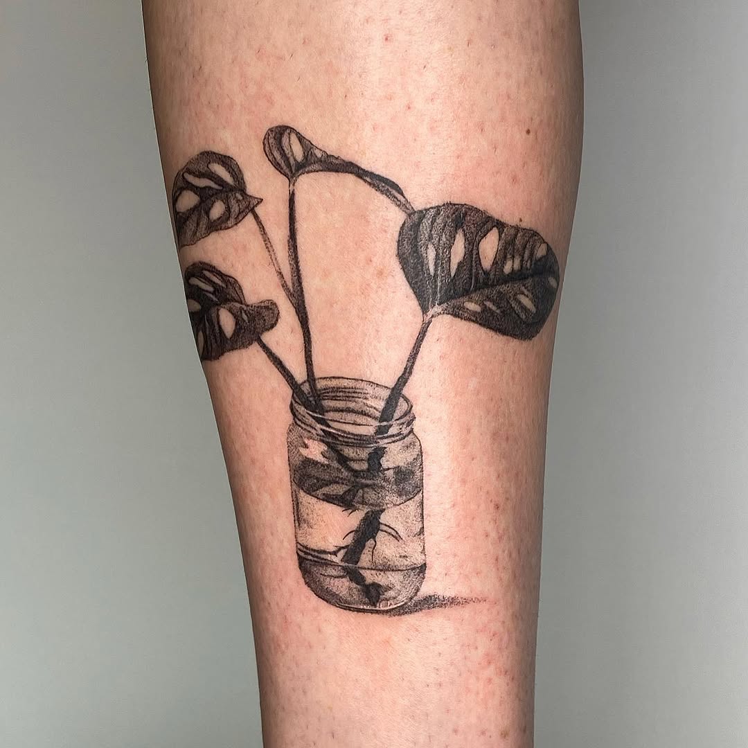 plantsnpokes