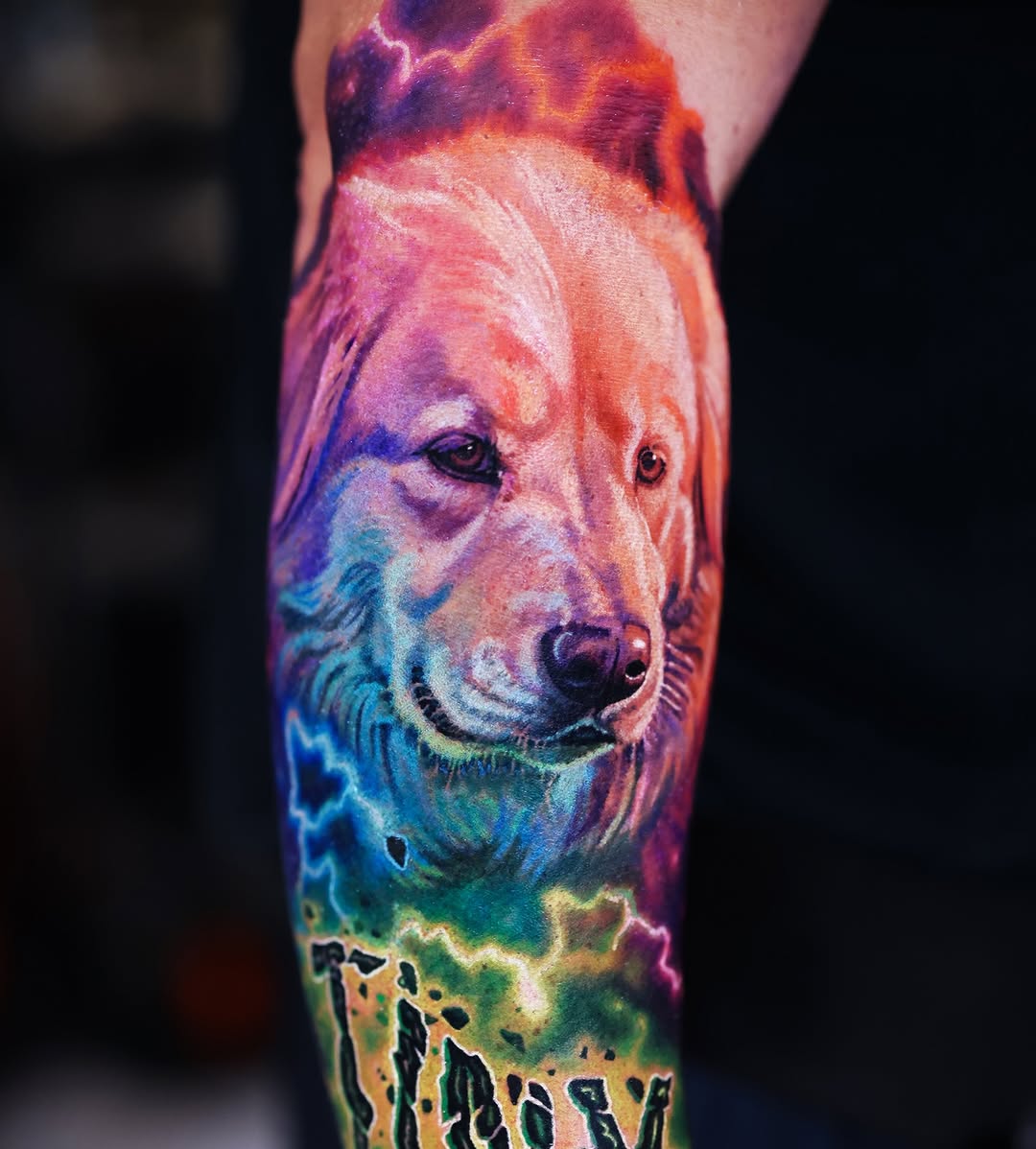 Animal