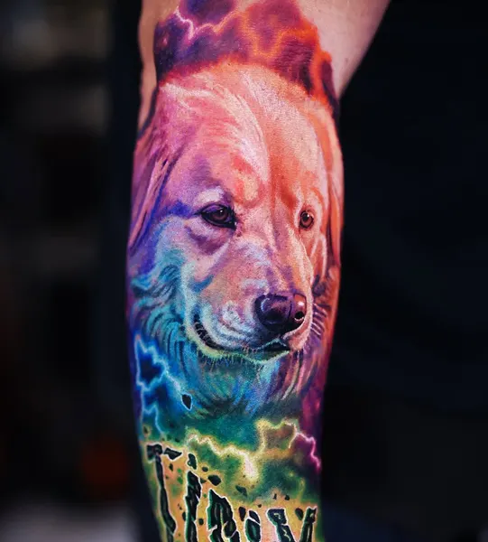 Animal