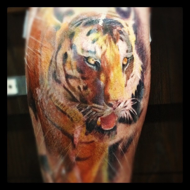 Tiger