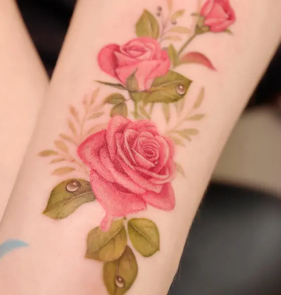 Flower, Rose