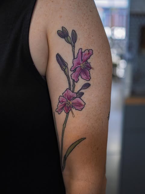 Flower, Rose