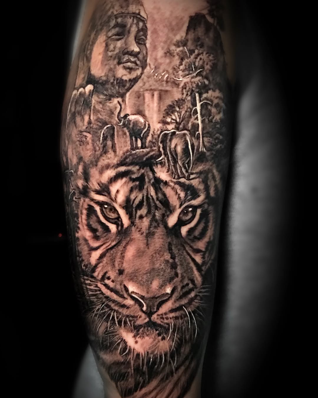 Tiger