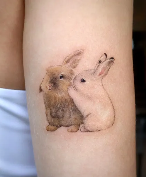 Animal, 토끼