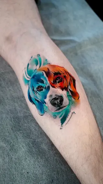 Animal