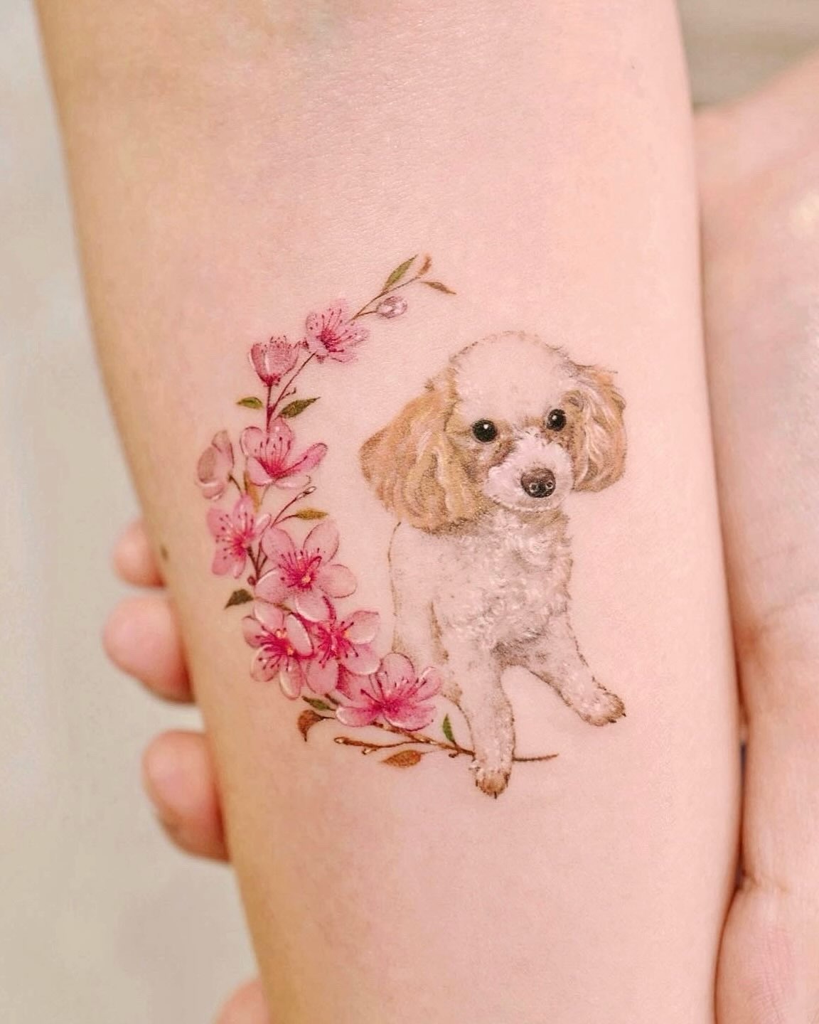 himi.tattoo