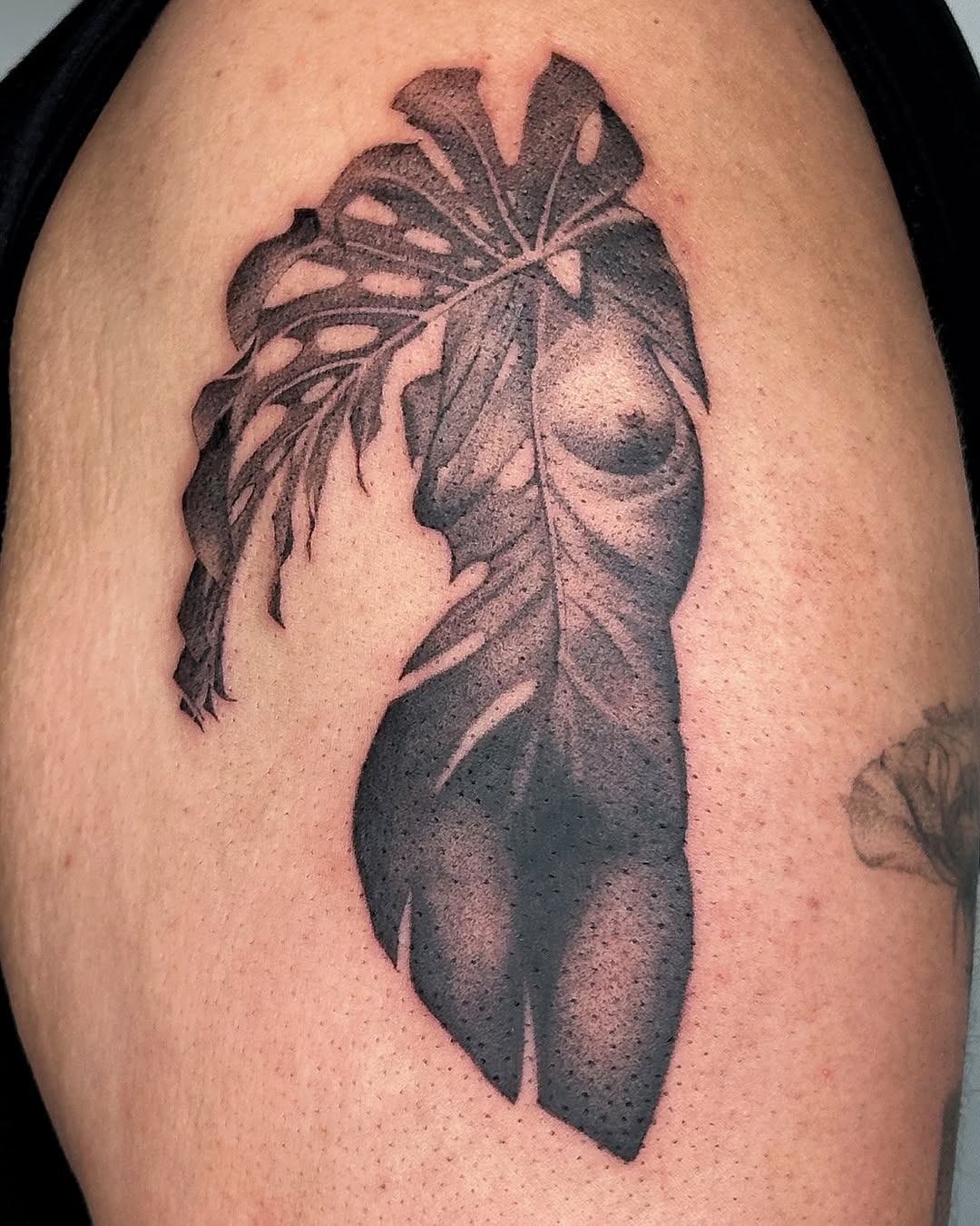 plantsnpokes