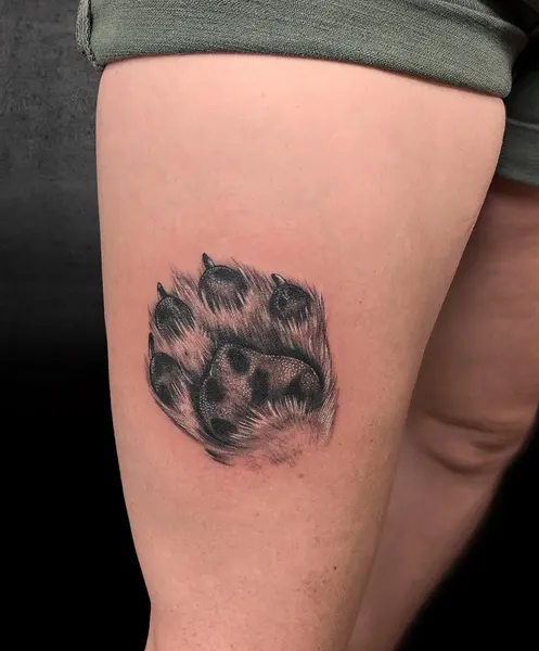 Animal