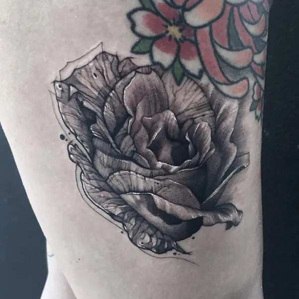 Flower, Rose