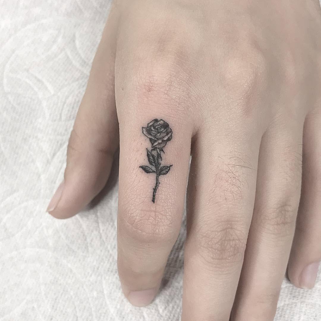 Flower, Rose