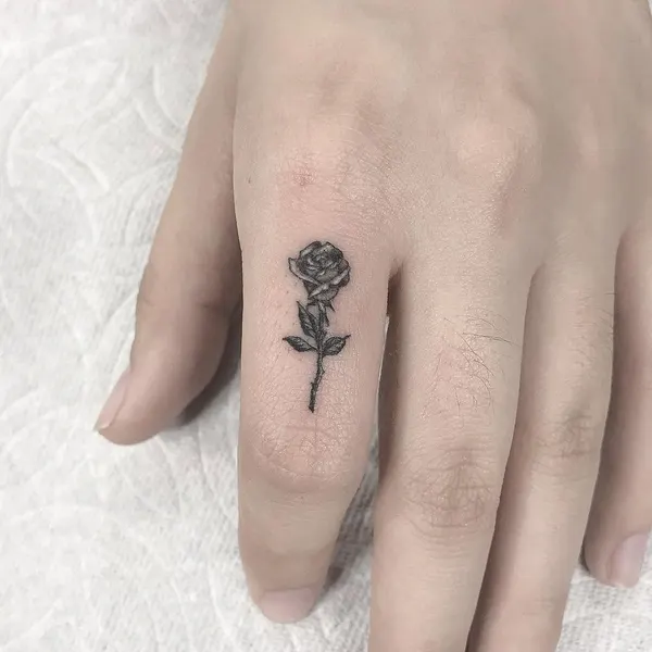 Flower, Rose