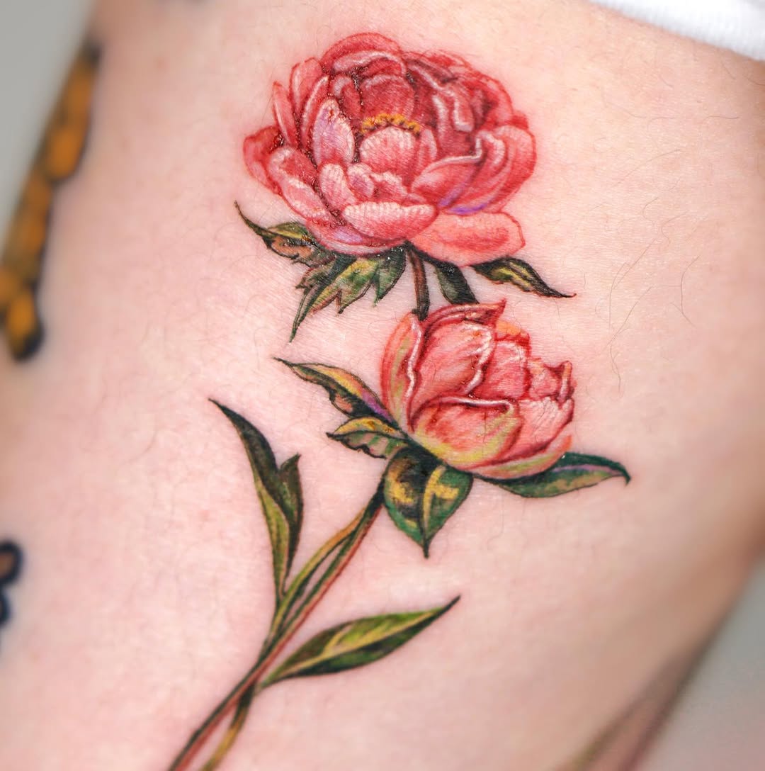 Flower, Rose