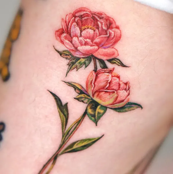 Flower, Rose