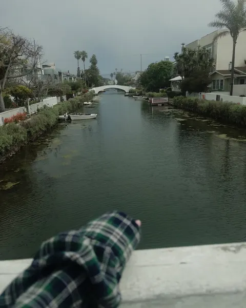 ponywave