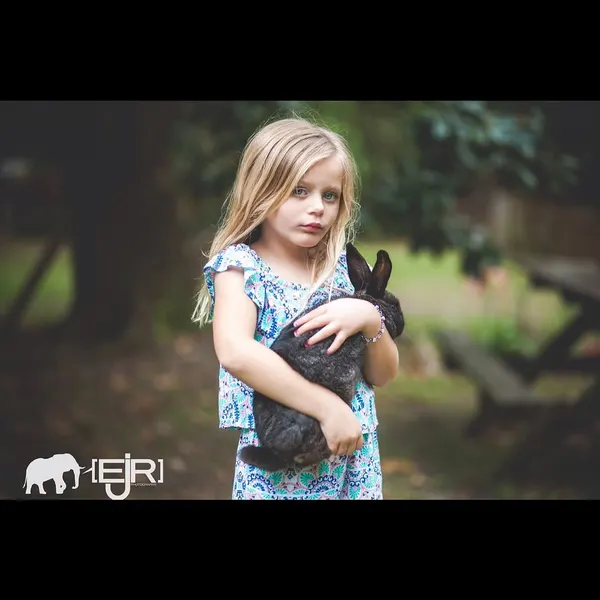 Animal