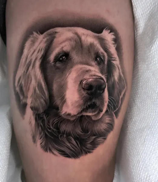 Animal