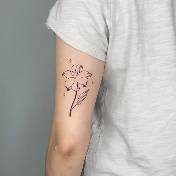 Flower, 백합