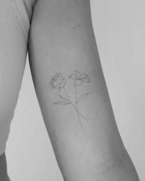 Flower, Rose