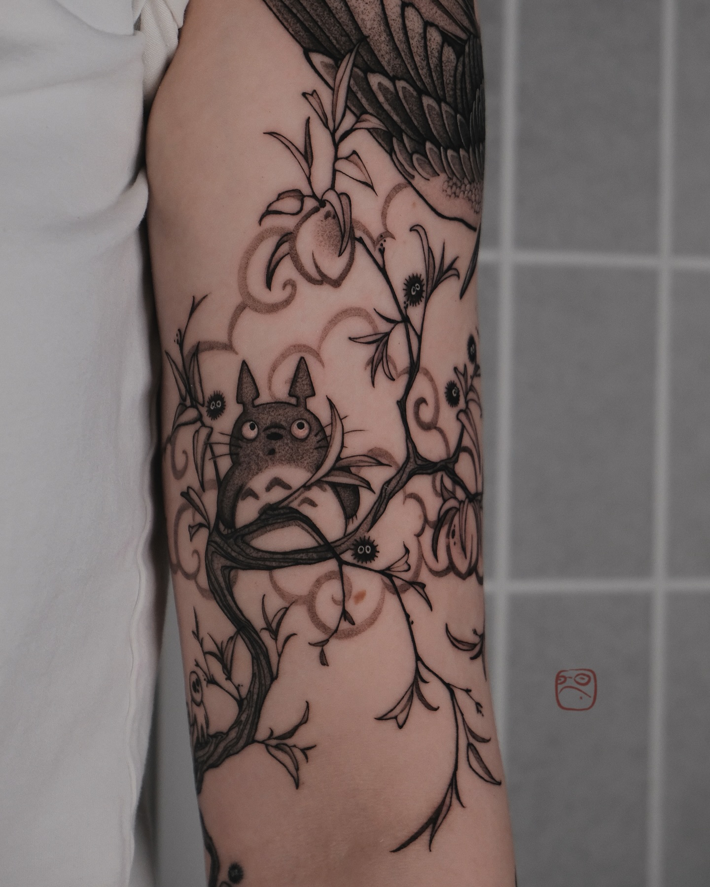 sasha.zhaba