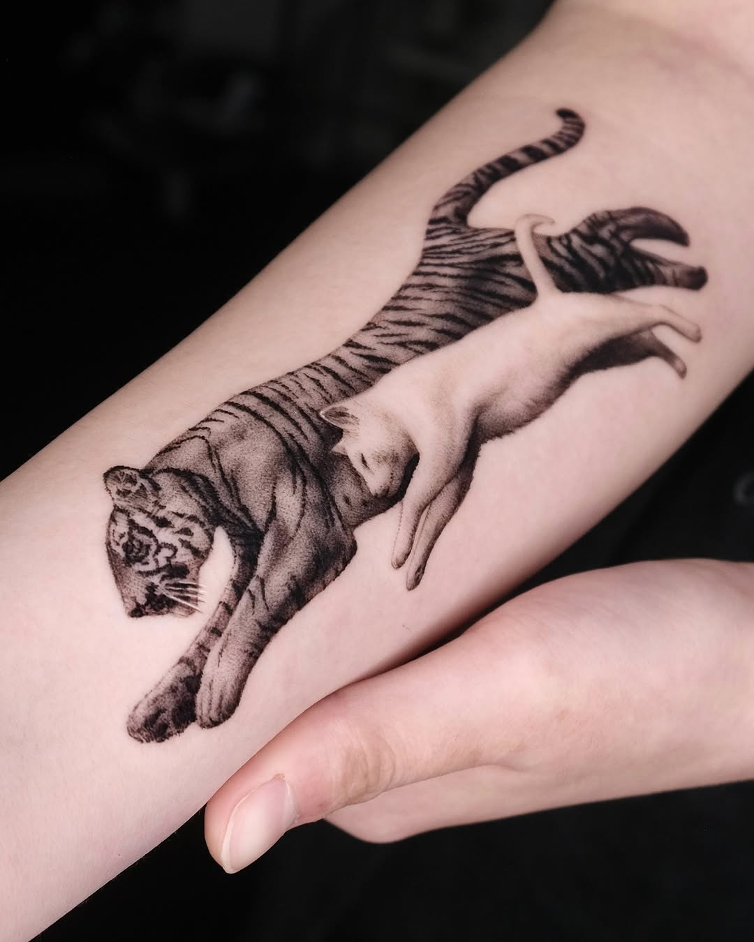 40.tatt