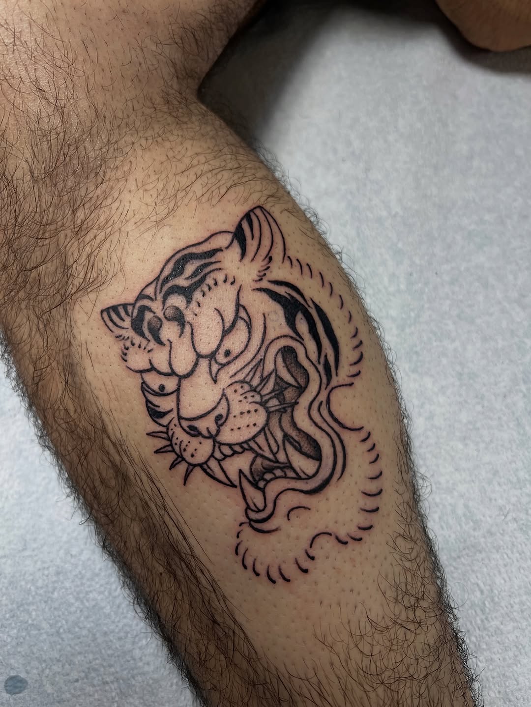 Tiger, Animal