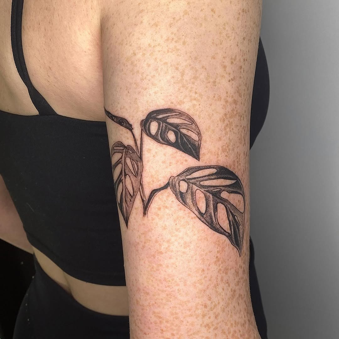 plantsnpokes
